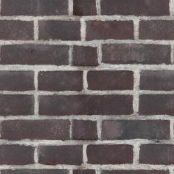 Seamless Textures of Wall Bricks + Normal & Bump Mapping